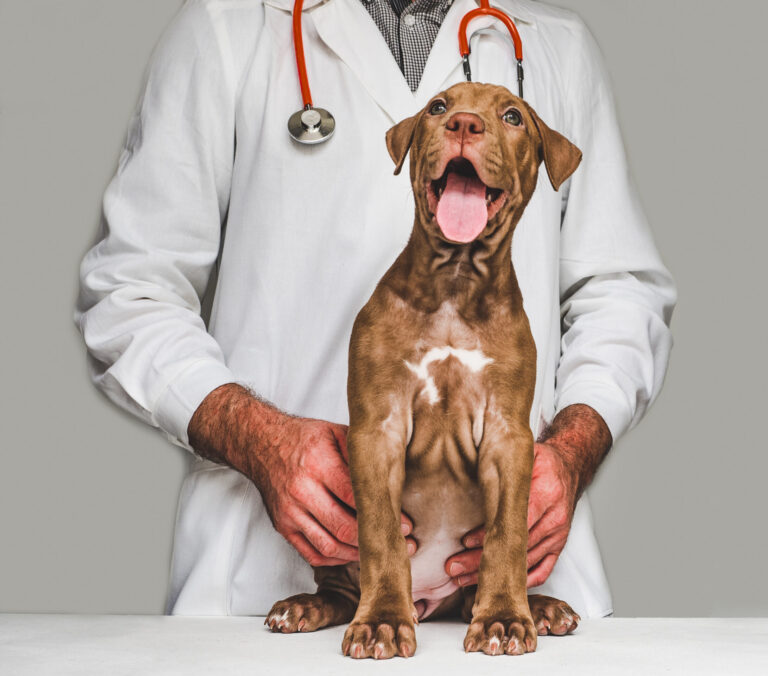 The more you know: Get answers to frequently asked THR questions.