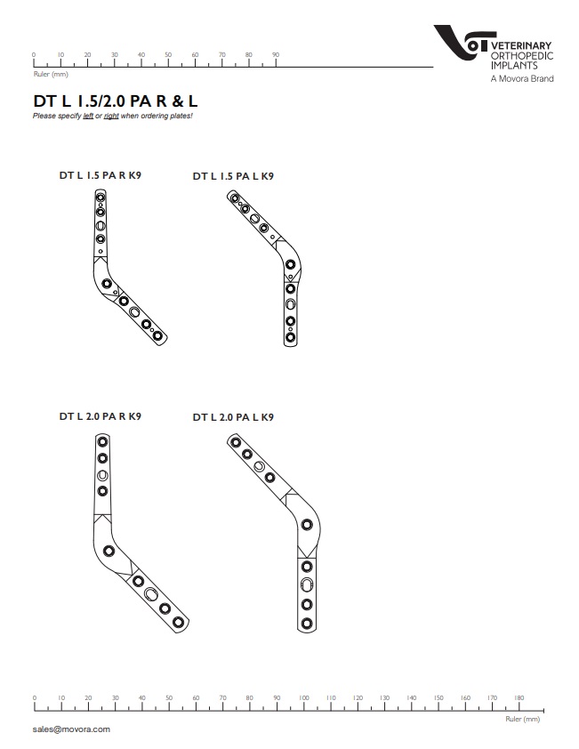 DT L 1.5-2.0 PA R & L Transparencies